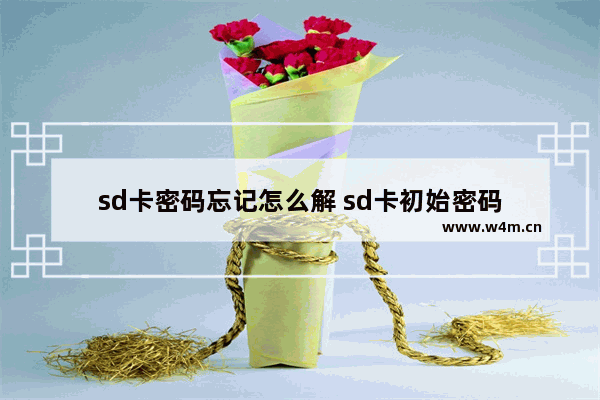 sd卡密码忘记怎么解 sd卡初始密码