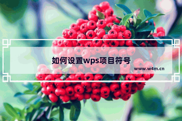 如何设置wps项目符号