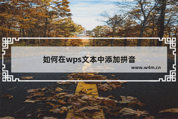 如何在wps文本中添加拼音