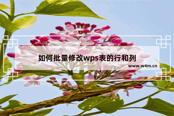 如何批量修改wps表的行和列