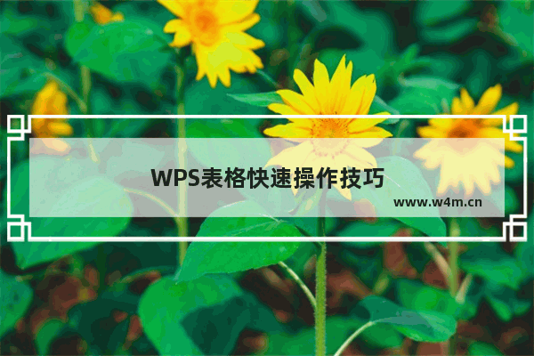 WPS表格快速操作技巧