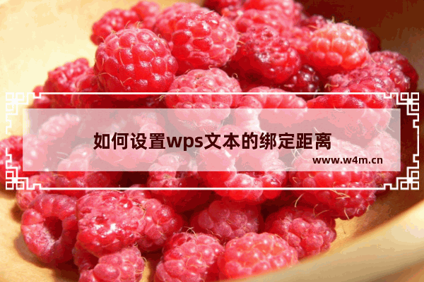 如何设置wps文本的绑定距离