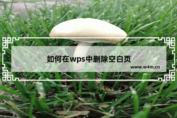 如何在wps中删除空白页