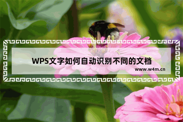 WPS文字如何自动识别不同的文档