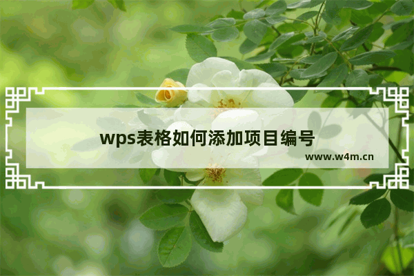 wps表格如何添加项目编号