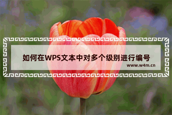 如何在WPS文本中对多个级别进行编号