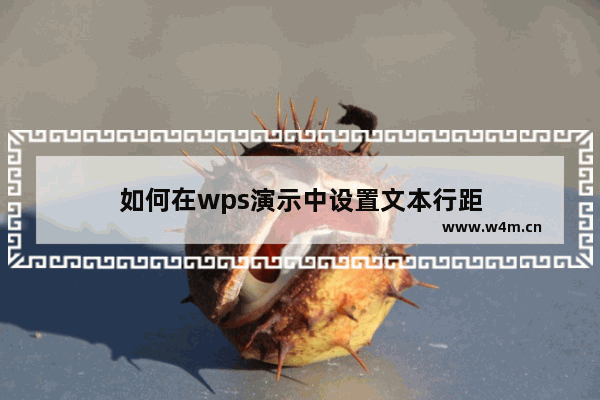 如何在wps演示中设置文本行距