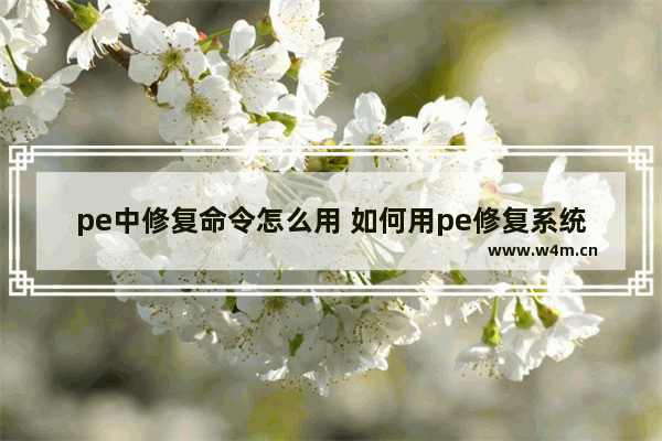 pe中修复命令怎么用 如何用pe修复系统教程