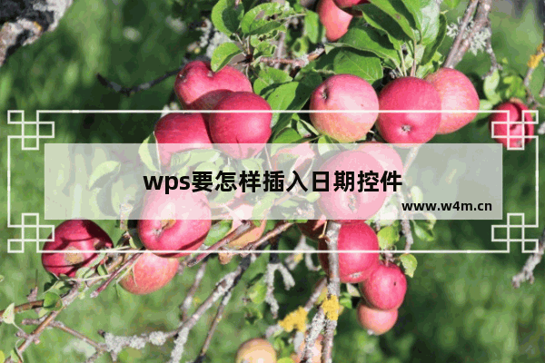 wps要怎样插入日期控件