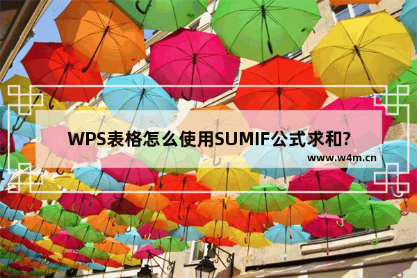 WPS表格怎么使用SUMIF公式求和?