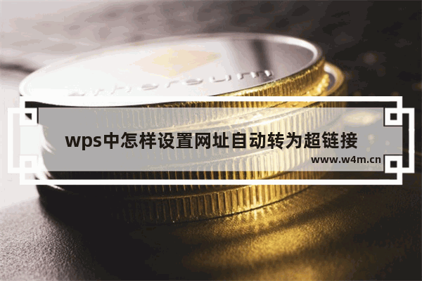 wps中怎样设置网址自动转为超链接