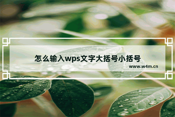 怎么输入wps文字大括号小括号