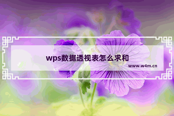 wps数据透视表怎么求和