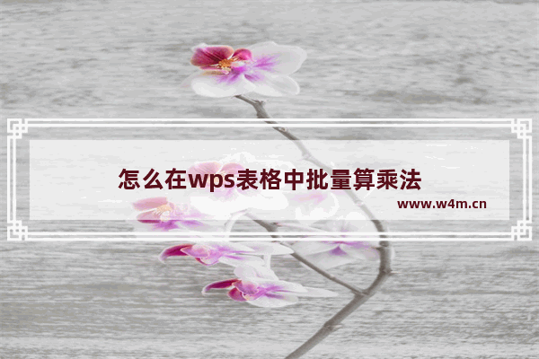 怎么在wps表格中批量算乘法