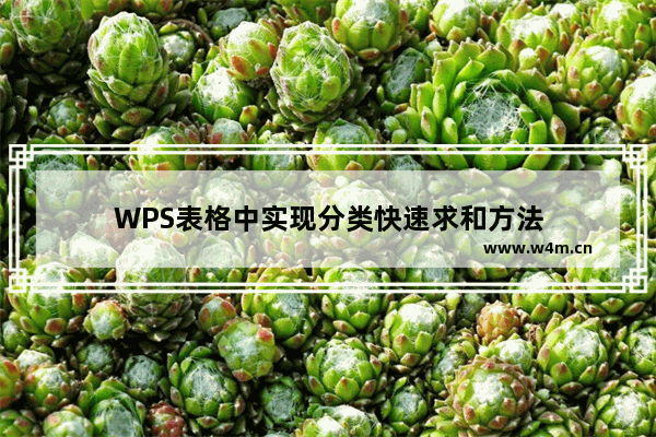 WPS表格中实现分类快速求和方法