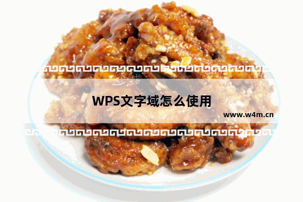 WPS文字域怎么使用