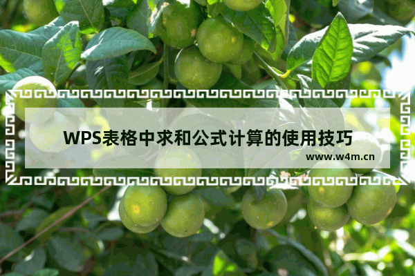 WPS表格中求和公式计算的使用技巧