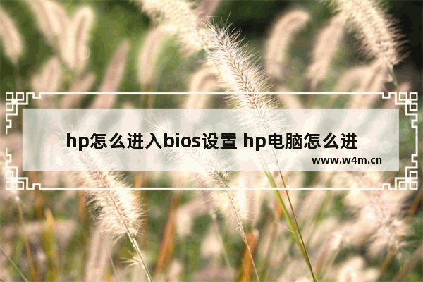 hp怎么进入bios设置 hp电脑怎么进入bios设置启动盘