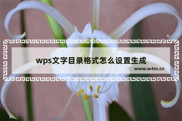 wps文字目录格式怎么设置生成