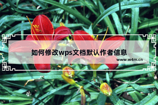 如何修改wps文档默认作者信息