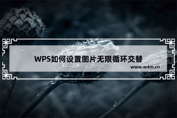 WPS如何设置图片无限循环交替