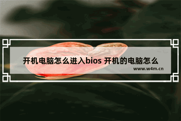 开机电脑怎么进入bios 开机的电脑怎么进入bios