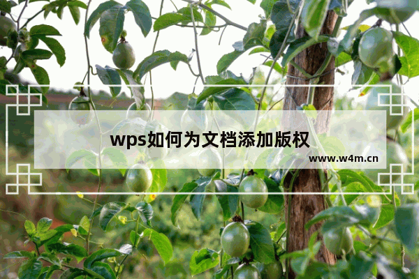 wps如何为文档添加版权