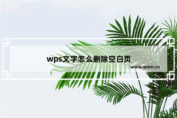 wps文字怎么删除空白页