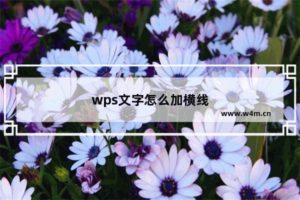 wps文字怎么加横线