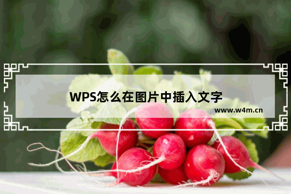 WPS怎么在图片中插入文字