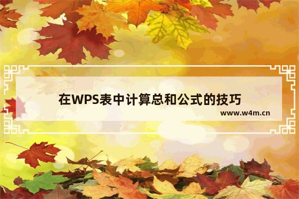 在WPS表中计算总和公式的技巧