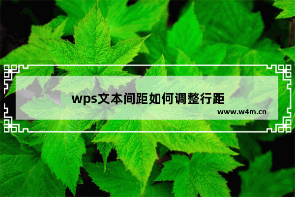 wps文本间距如何调整行距