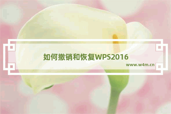 如何撤销和恢复WPS2016