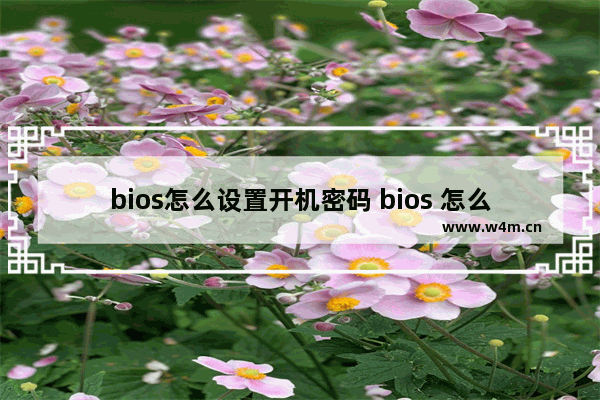 bios怎么设置开机密码 bios 怎么设置密码