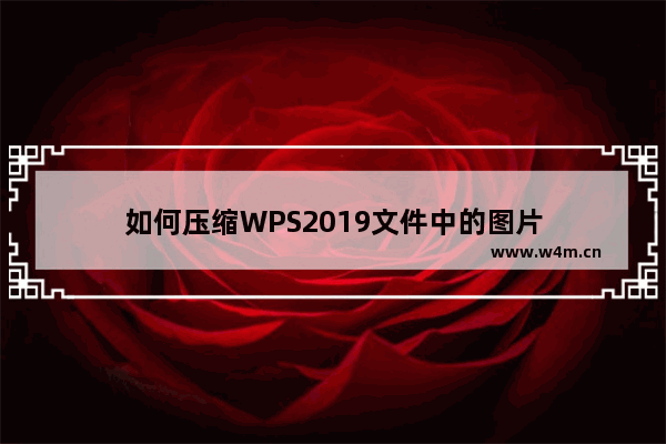 如何压缩WPS2019文件中的图片