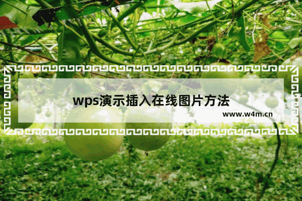 wps演示插入在线图片方法