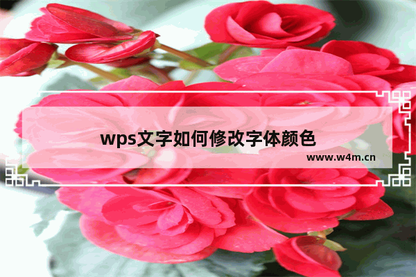 wps文字如何修改字体颜色