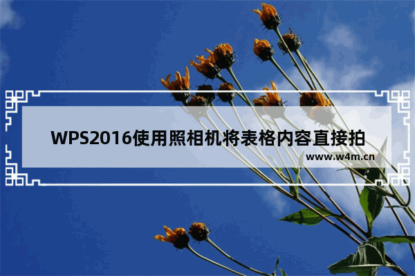 WPS2016使用照相机将表格内容直接拍照生成图片方法