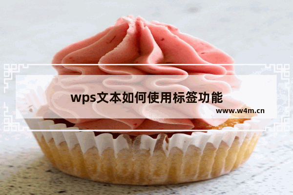 wps文本如何使用标签功能