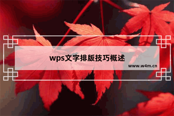 wps文字排版技巧概述