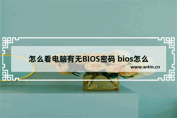 怎么看电脑有无BIOS密码 bios怎么查看有没有硬盘