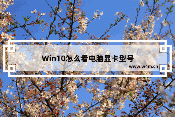 Win10怎么看电脑显卡型号