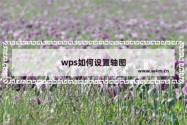 wps如何设置轴图