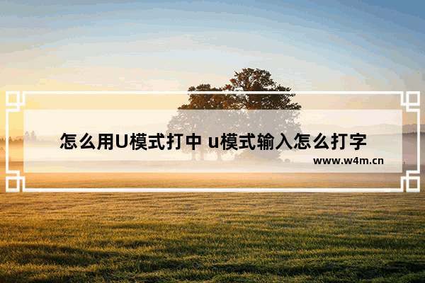 怎么用U模式打中 u模式输入怎么打字