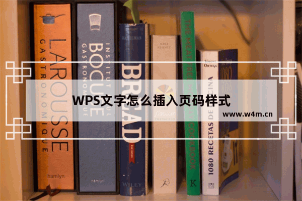 WPS文字怎么插入页码样式