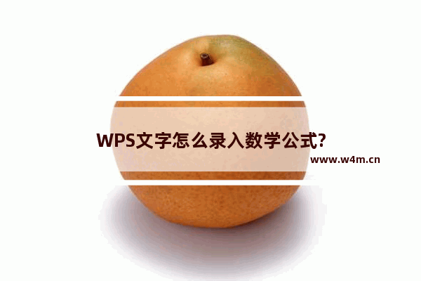 WPS文字怎么录入数学公式?