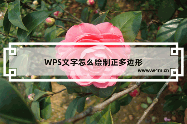 WPS文字怎么绘制正多边形