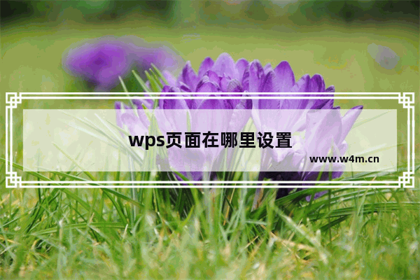 wps页面在哪里设置