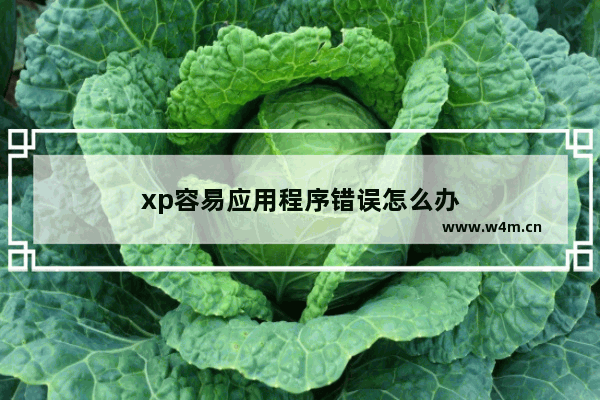 xp容易应用程序错误怎么办