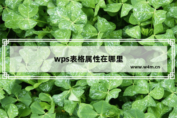 wps表格属性在哪里